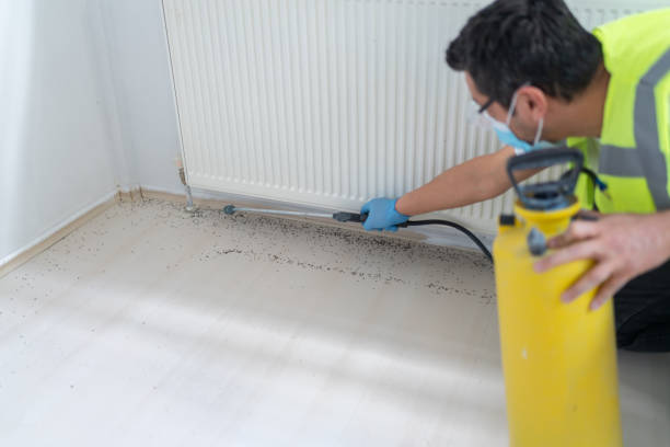 Best Pest Control for Restaurants  in Towamensing Trails, PA